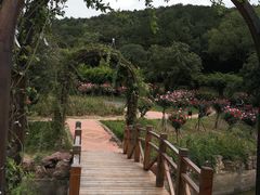 -龙寺生态园