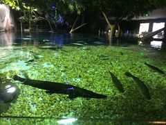 -成都浩海立方海洋公园