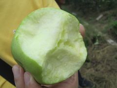 IMG_1754-意大利农场度假村