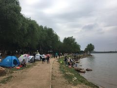 -丁香湖公园