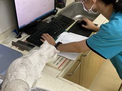 -芭比堂动物医院广州顽皮分院