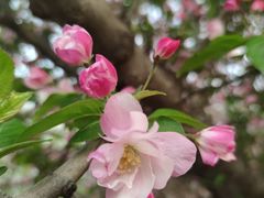 -元大都城垣遗址公园