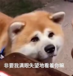 -YDO SALON