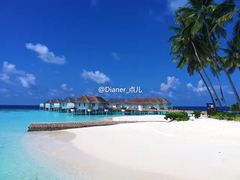 -中央格兰德岛温泉度假酒店 - 全包