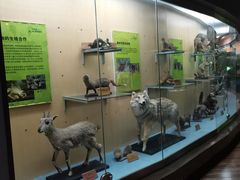 -陕西自然博物馆