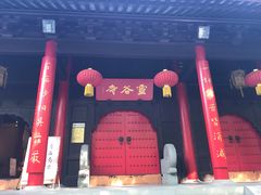 -灵谷景区