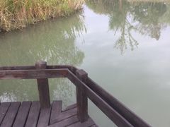 -梁鸿国家湿地公园