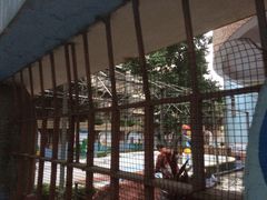 -广州市海珠区科雅幼儿园