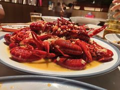-杨氏青龙虾·羊蝎子(托乐嘉店)