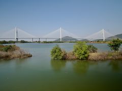 -芒洲湿地公园