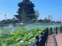 -蟹天蟹地农家菜·阳澄湖大闸蟹(浅水湾店)