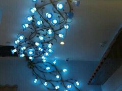 android_upload_pic-火吧PTV聚会餐厅(10号店)