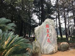 -武汉大学-樱园