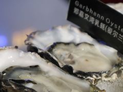 -囧吉香生蚝牛排馆(湖北路店)