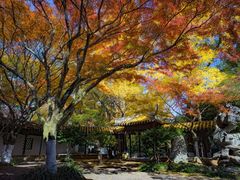 -虞山风景区
