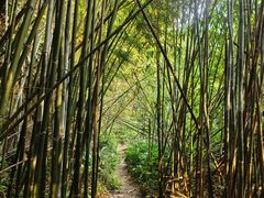 -井空里大峡谷