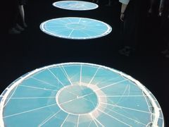 -上海当代艺术博物馆