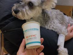 -美联众合动物医院·24h转诊中心