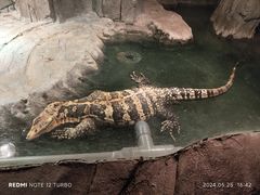 -济南野生动物世界