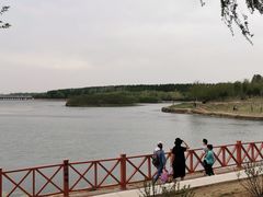 -丁香湖公园