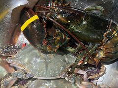 -望海潮海鲜店 特色家常菜(在海一方店)