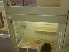 -龙猫仔乐园(惠福东路店)