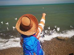 -青海湖国家重点风景名胜区