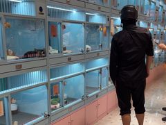 -FAELING PETS美天灵宠物(合生汇店)