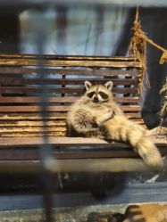 -酷嗒动物文化乐园(cutezoo西溪乐天城店)