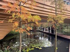 -云溪植物园