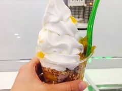 -Salud撒露欧洲冻酸奶(蓝色港湾店)