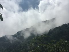 -牛背梁国家森林公园