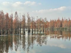 -白鹭湾湿地公园