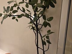 -小团圆糖水铺(襄阳南路店)