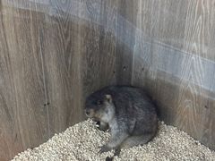 -后院犇牛主题餐厅(云岗店)