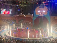 -俄罗斯国家大马戏团