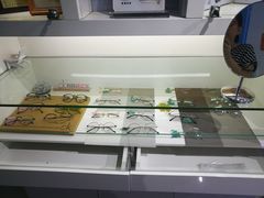 -提一眼镜·蔡司·依视路(小寨店)