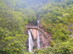 -广州白江湖森林公园