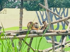 -北京野生动物园