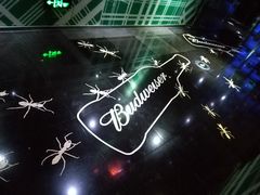 -百威KTV(恒福路店)