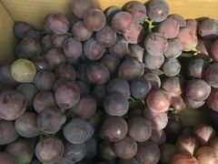 -乡乐园蟹庄·阳澄湖农家乐