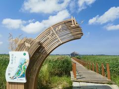 -黑龙江扎龙生态旅游区