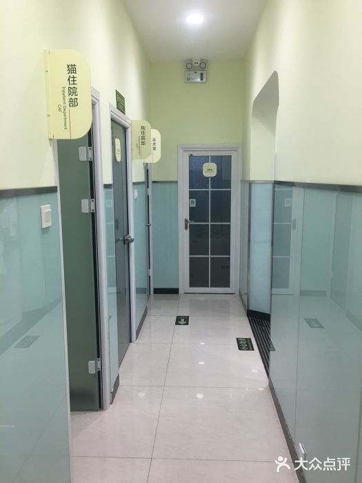 悦宠凯宝动物医院·牙科·皮肤科(朝阳北路店)图片
