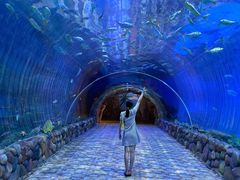 -华夏文旅海洋公园