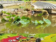 -黄埔油麻山森林公园