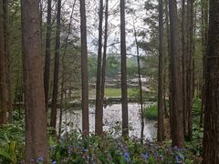 -深圳仙湖植物园