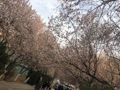 -山东师范大学(千佛山校区)