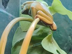 -上海大自然野生昆虫馆