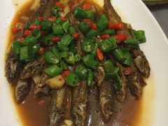 -7017浙菜•建德味(市心北路店)
