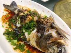 野生铜盘鱼-金海湾海鲜排档(朱家尖店)
